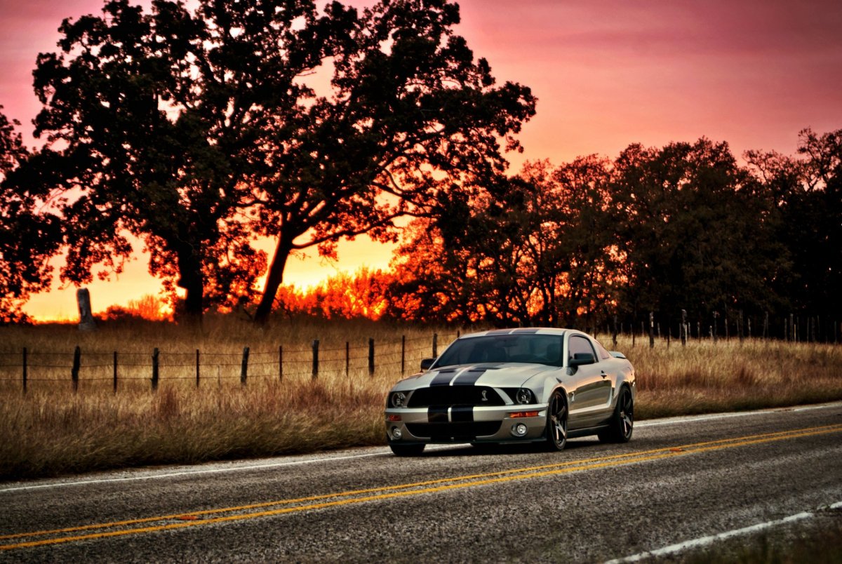 Форд Мустанг gt 500 в закат