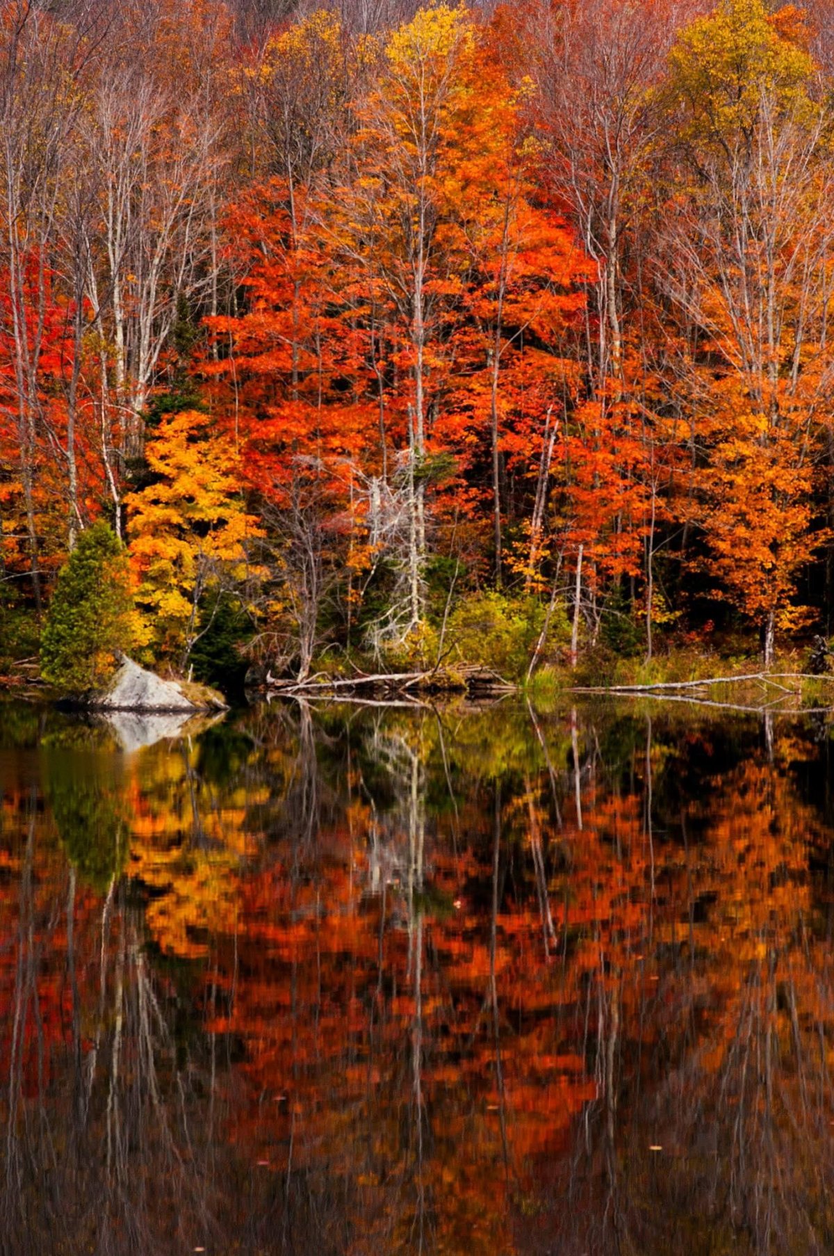 Autumn Vermont 500px