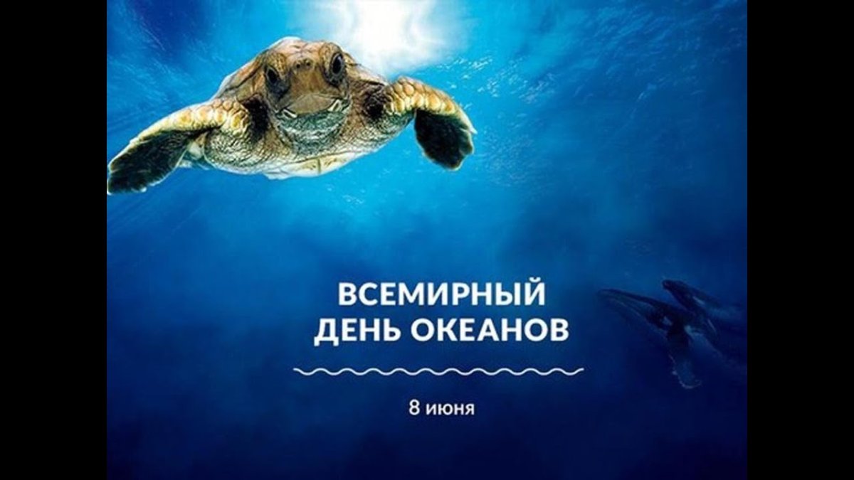 Всемирный день океанов (World Ocean Day)