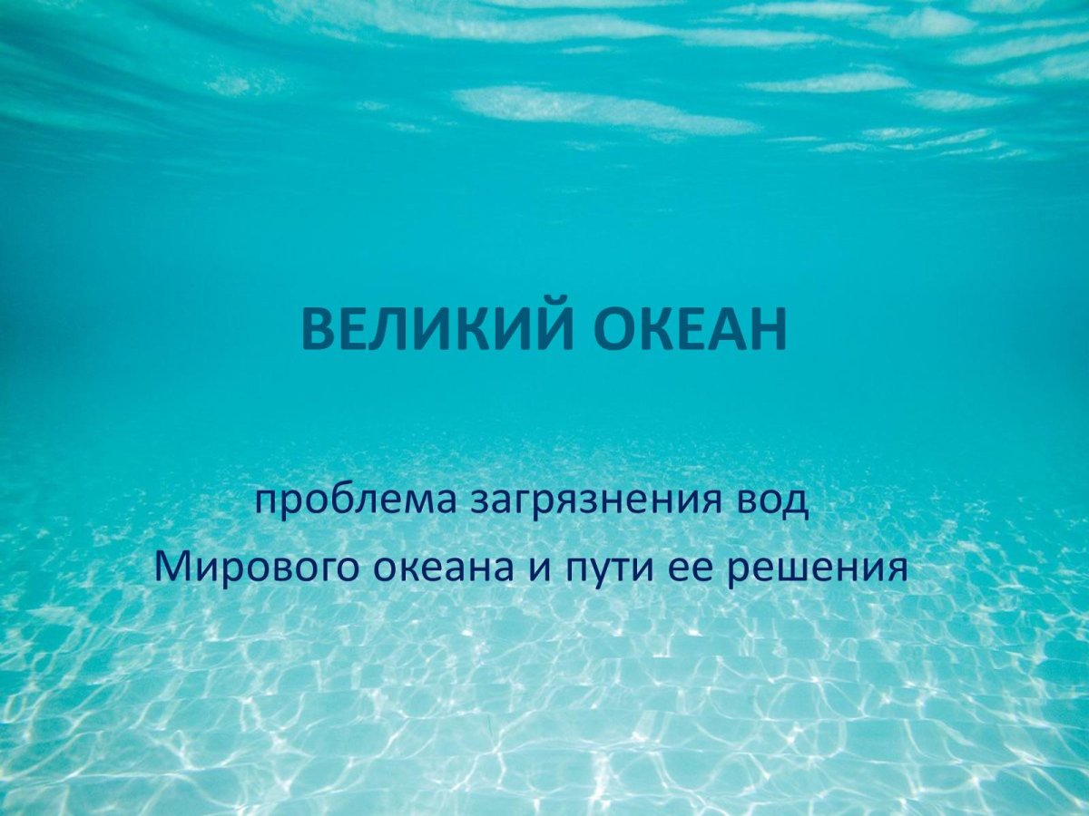 Систематическое положение гидры