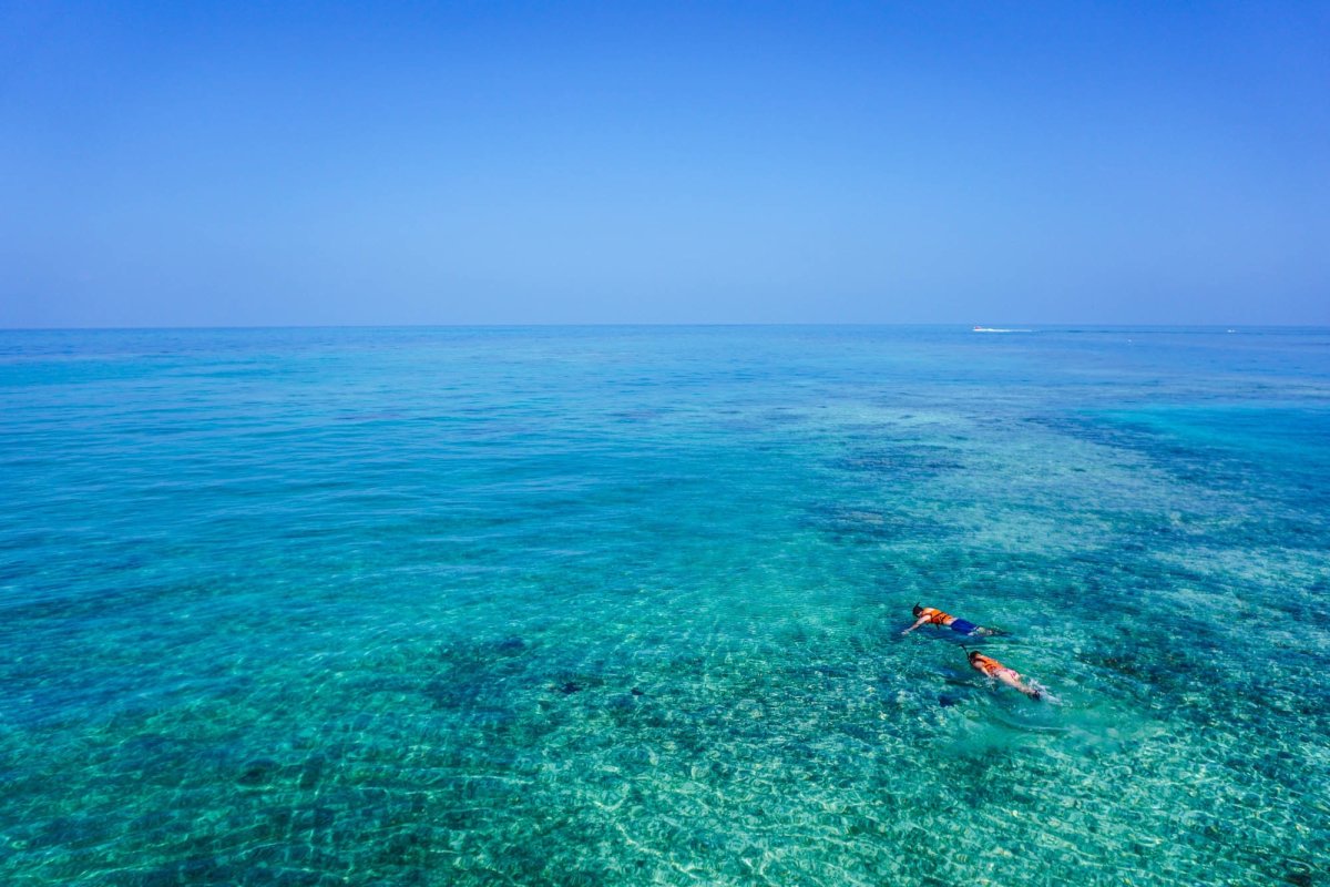 Lanzarote Испания снорклинг
