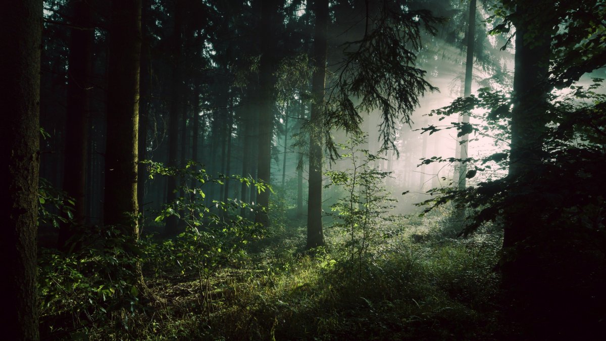 Breathe Fleurie с стихом