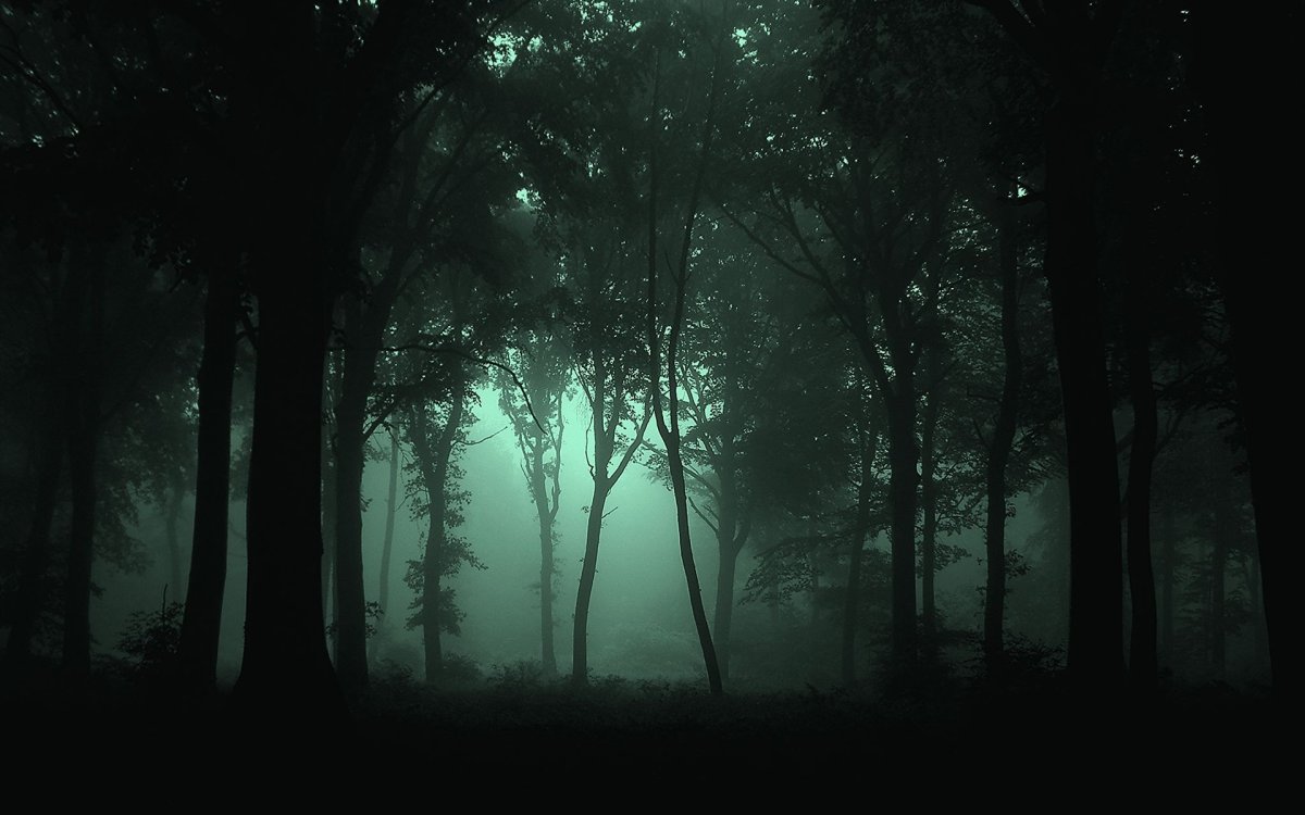 Темный лес Twilight Forest