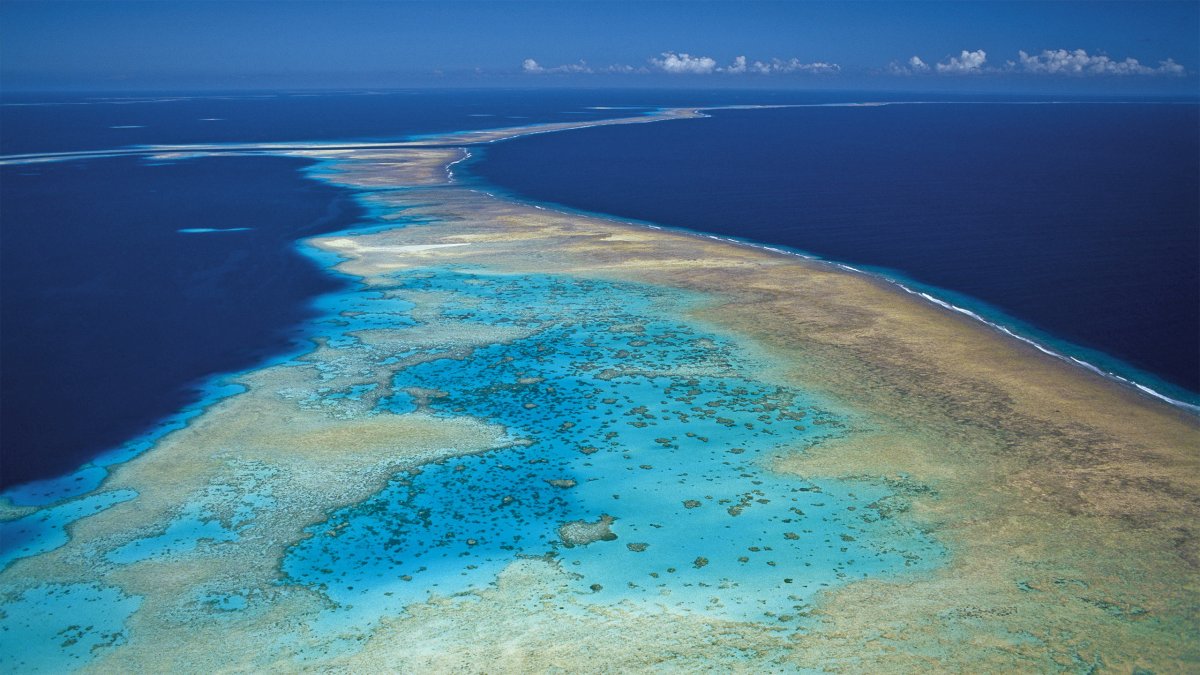 Соломоново море