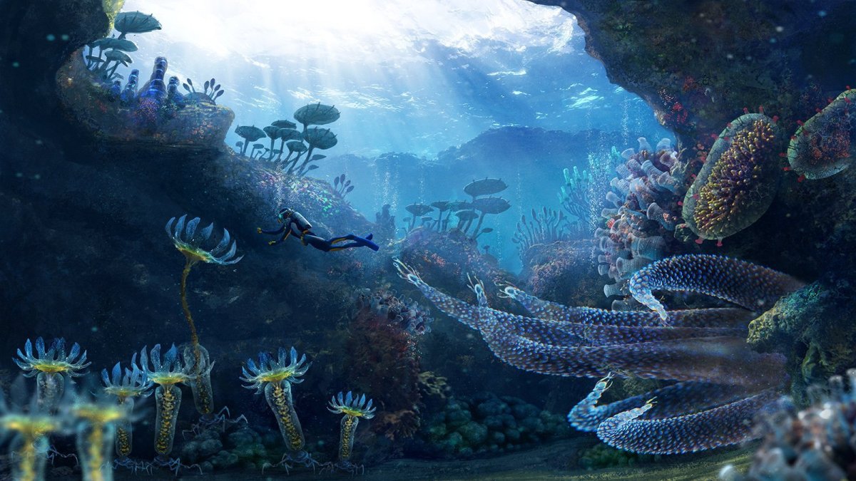Большой риф Subnautica