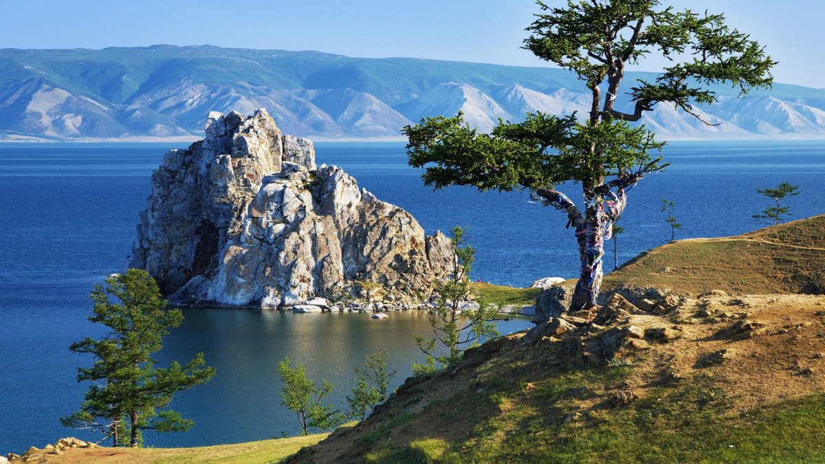 Лиственница на Байкале