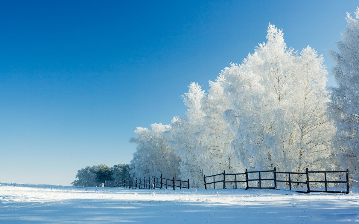 Зима снег