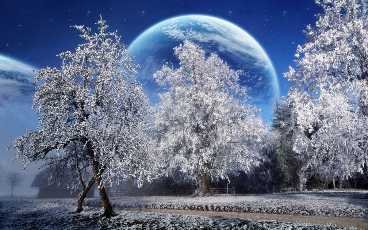 Зимняя природа