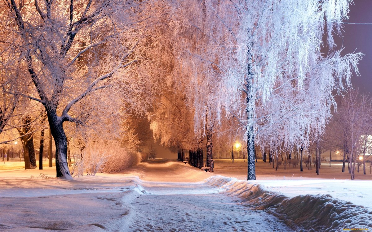 Зимняя природа