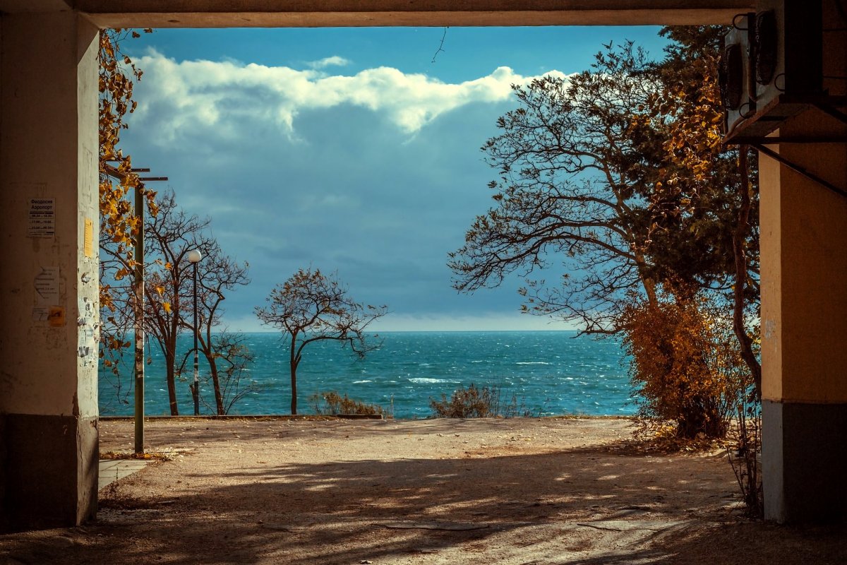 Черное море