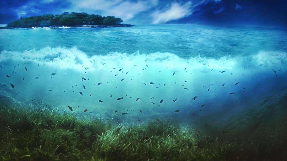 Подводный мир три цвета воды