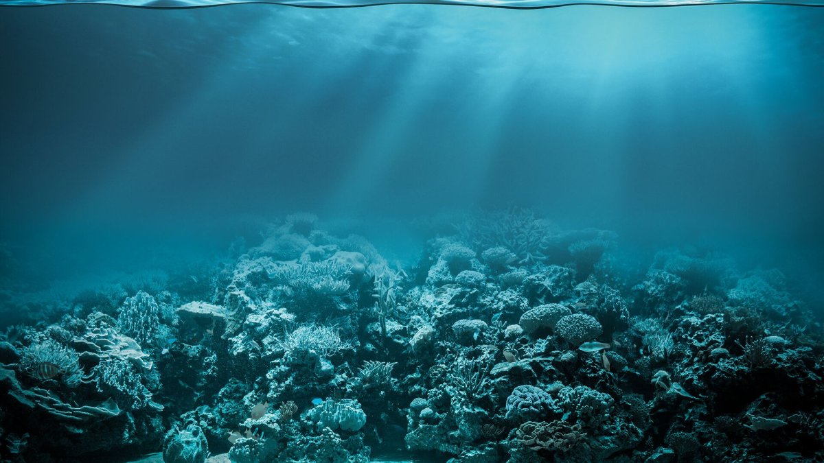Море под водой