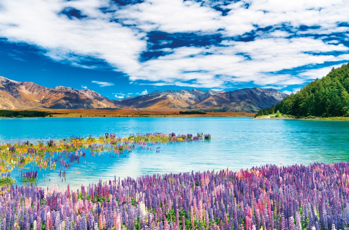 Lake Tekapo, новая Зеландия