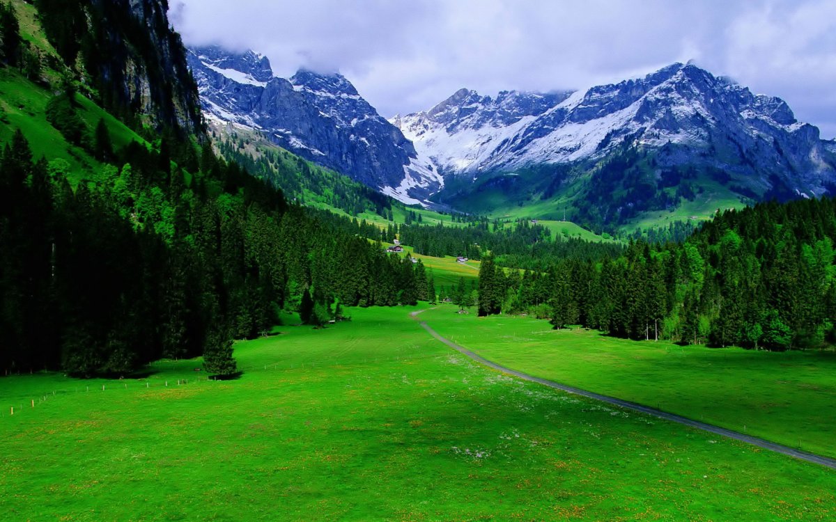 Швейцария манзаралари