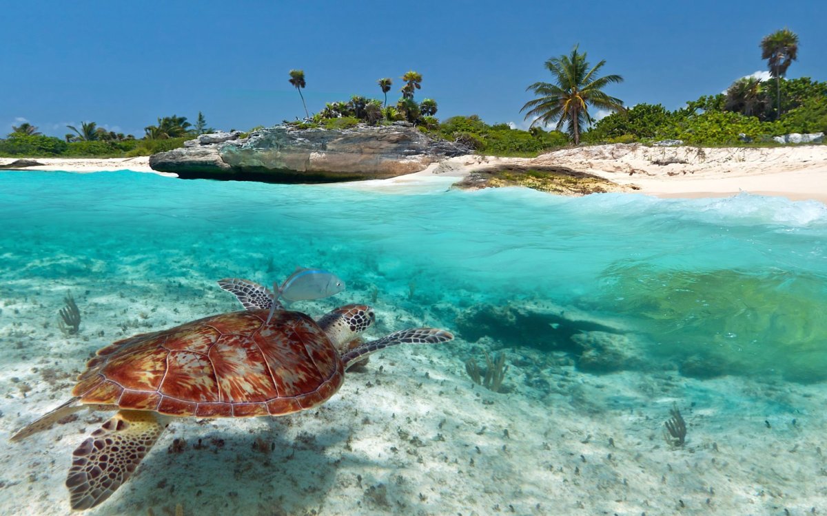 AHG Maya Bay Resort Spa 4 Занзибар