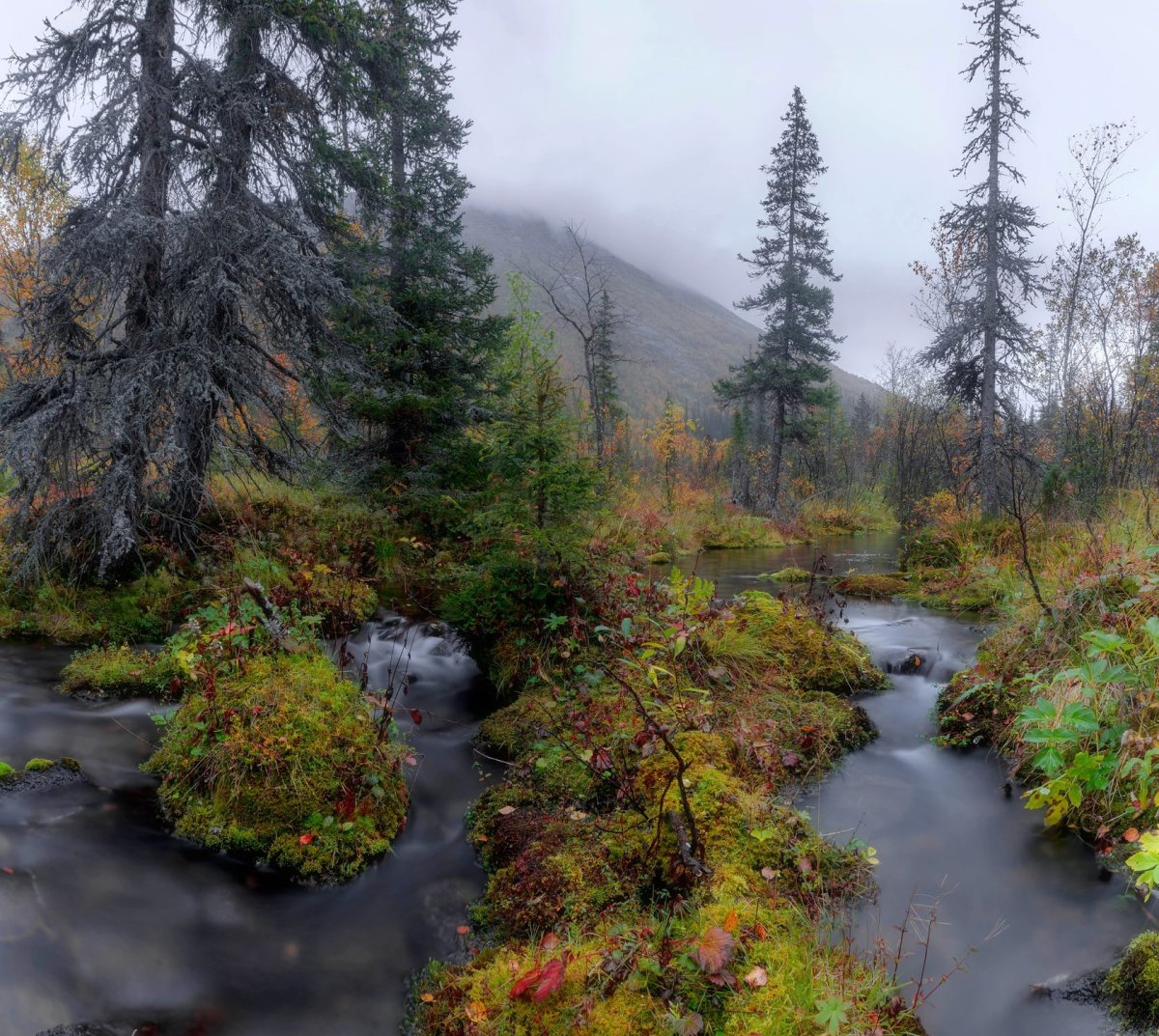 Кольский полуостров фототур