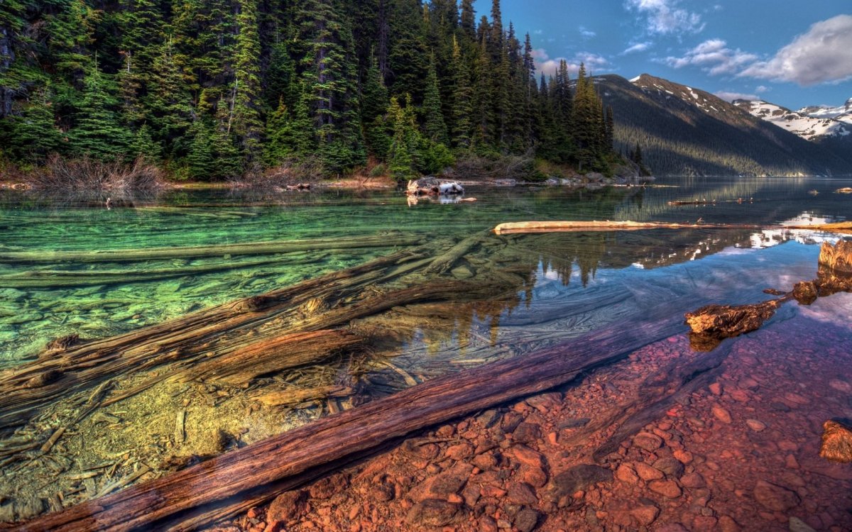 Национальный парк Wilderness