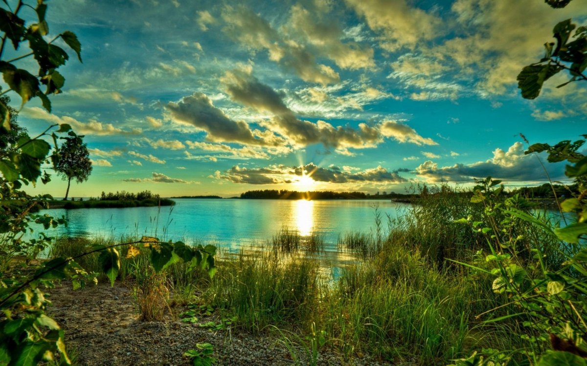 Красивая природа