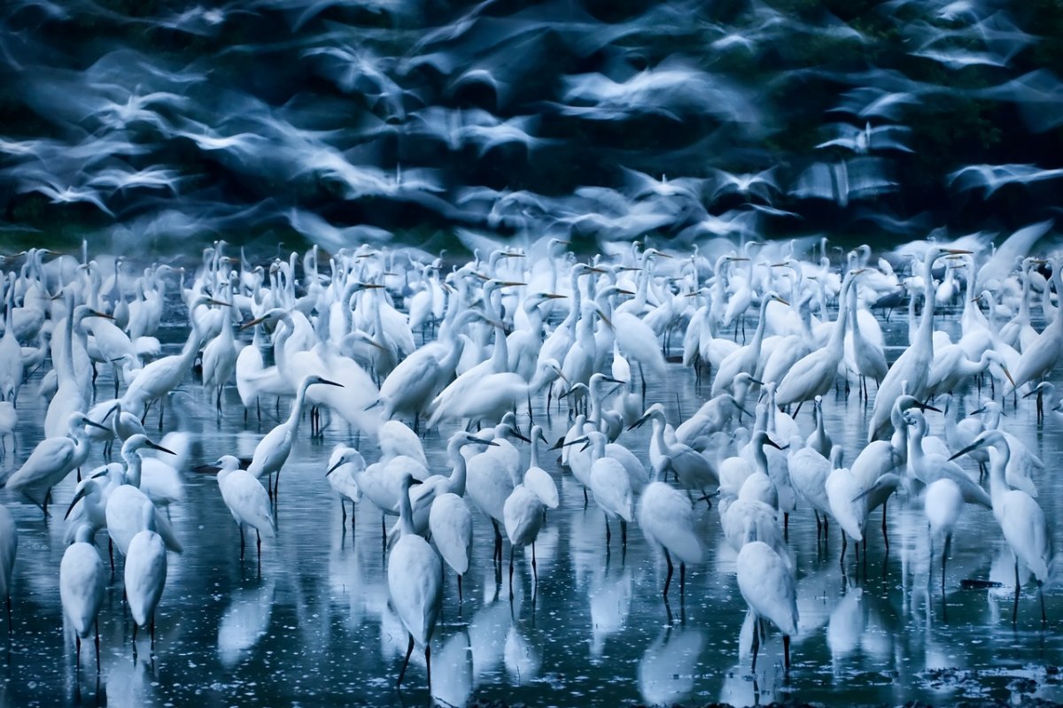 Фотошедевры мира