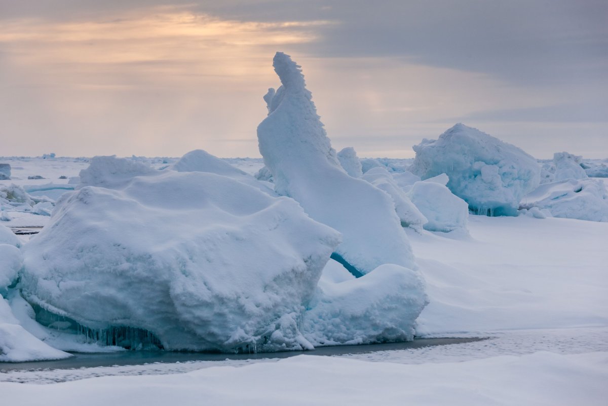 Arctic Sea