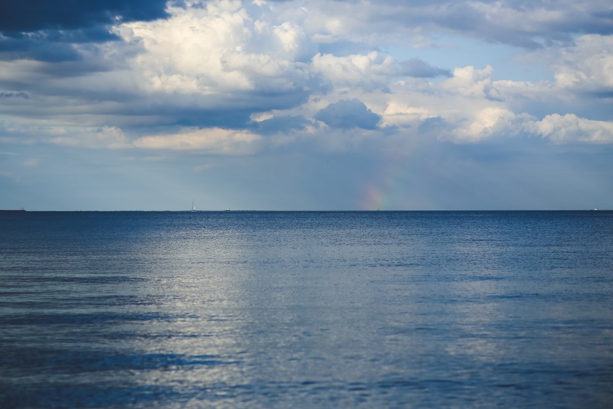Галоклин Балтийское море