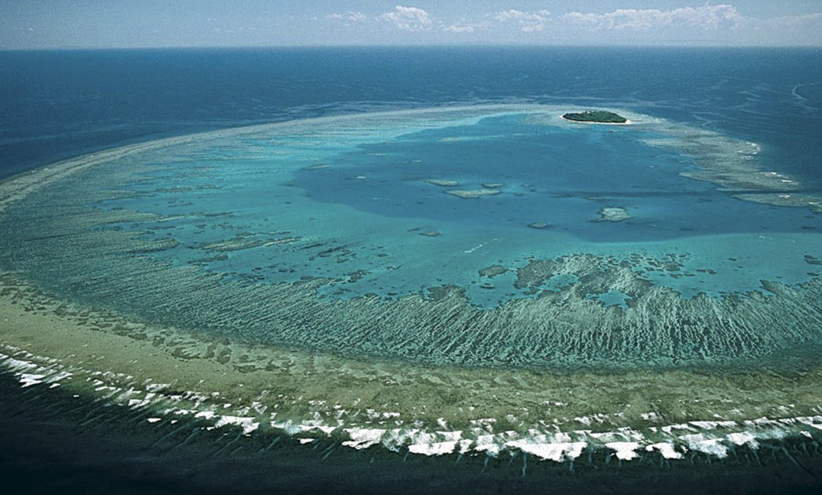 Большой Барьерный риф (the great Barrier Reef)