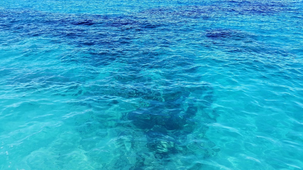 Фон море