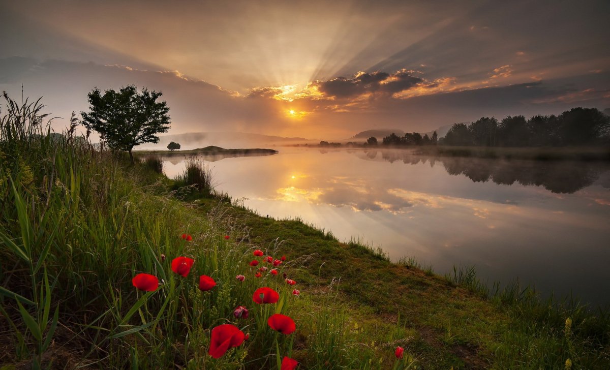 Утро природа