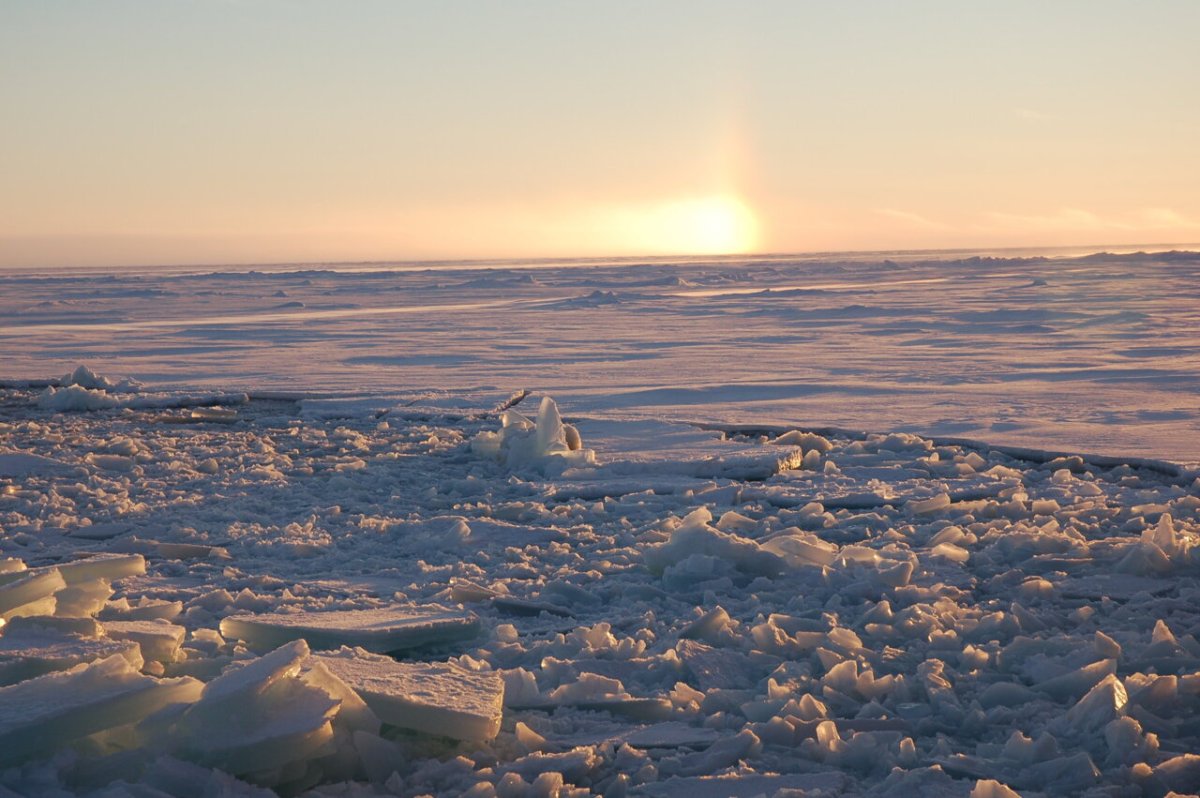 Арктический лед в Северной Америке