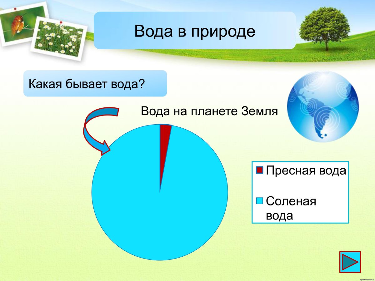 Пресная и соленая вода в природе