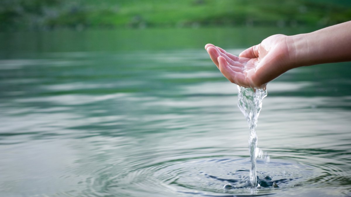 Вода источник жизни