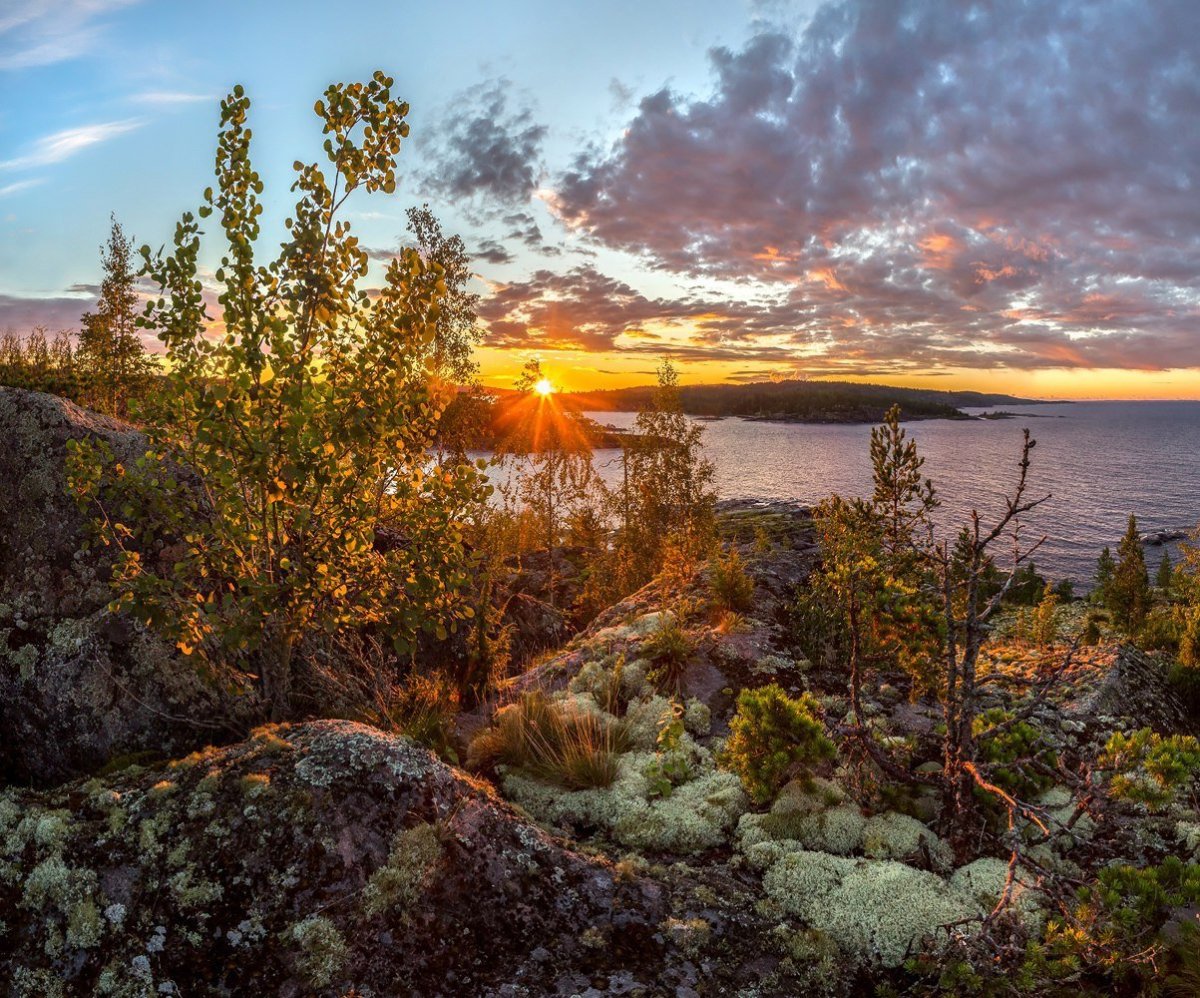 Фёдор Лашков фото