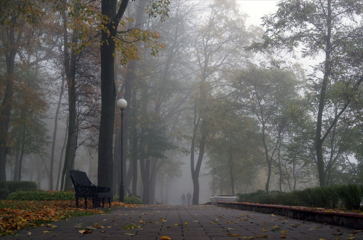 Пасмурный осенний день в городе