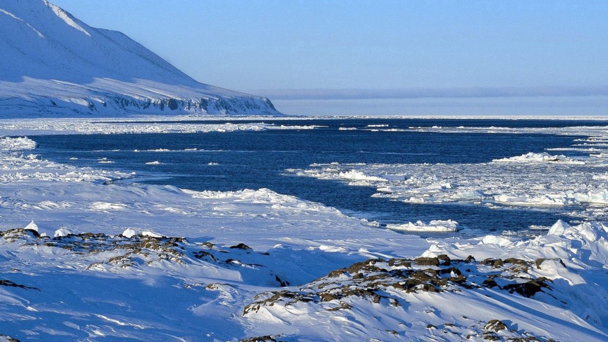 Полярная Арктическая пустыня