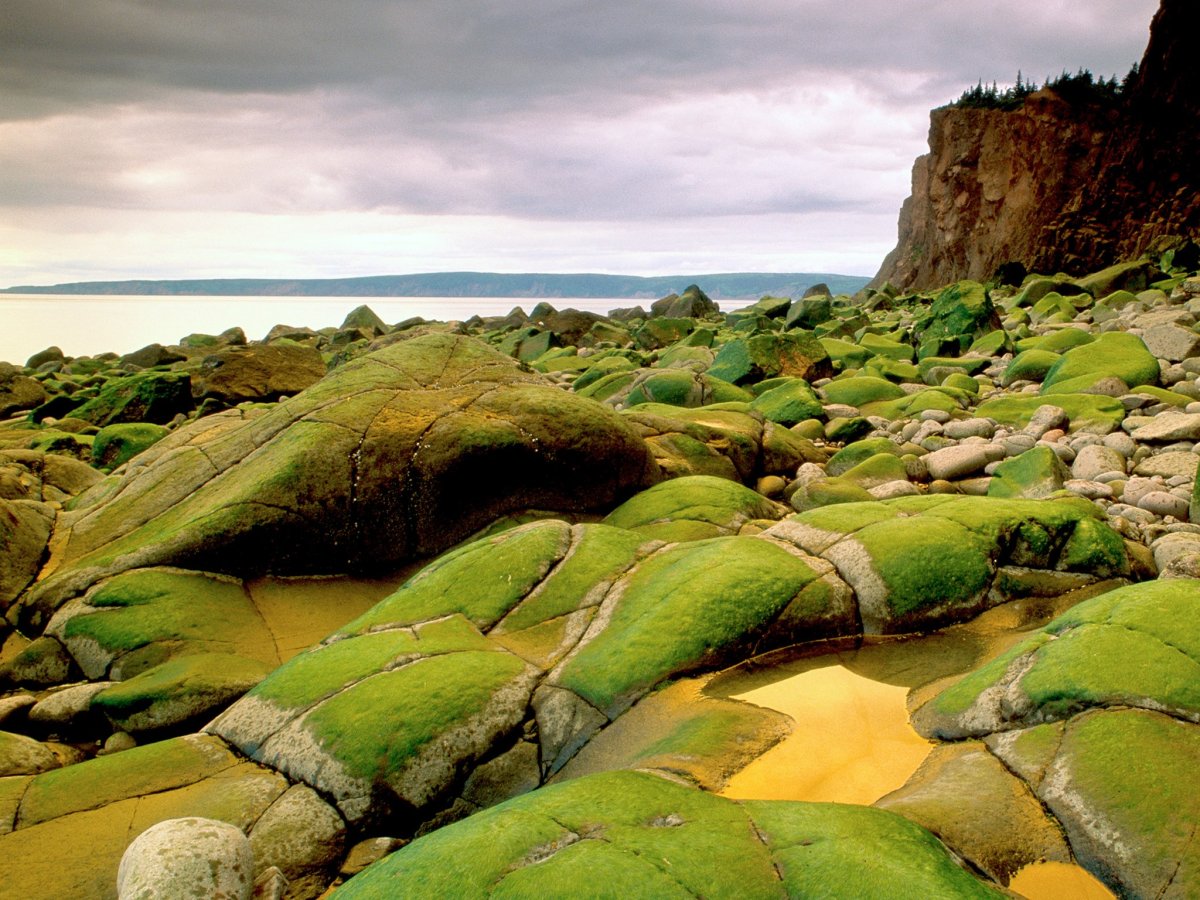 Nova Scotia