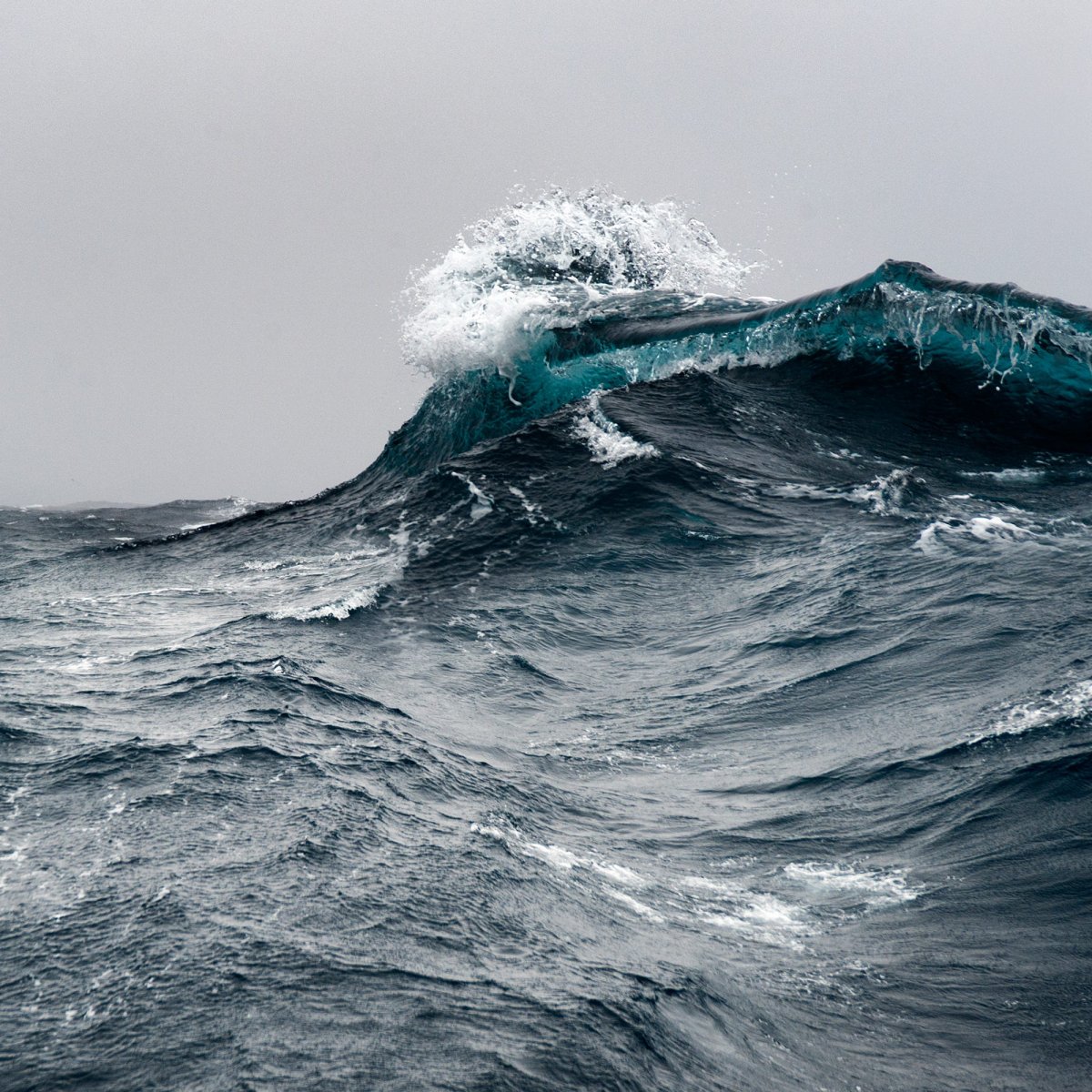 Scary Ocean