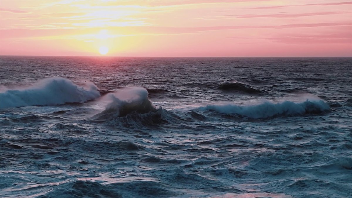 Ocean Vibes