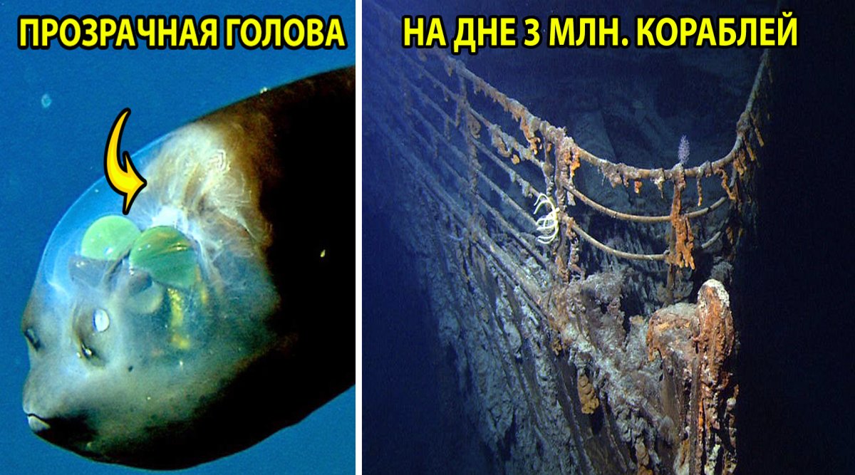 Интересное об океанах