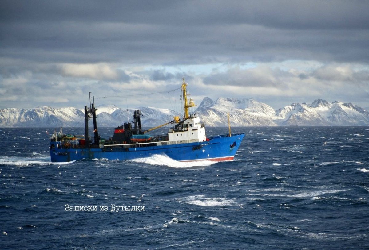 Сейнер Баренцево море
