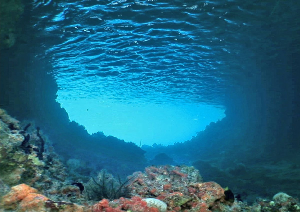 Дно моря