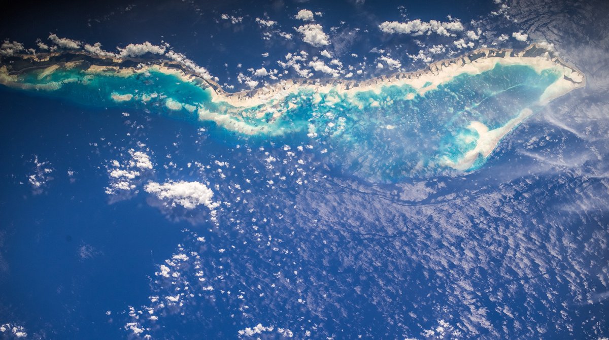 Саргассово море с космоса