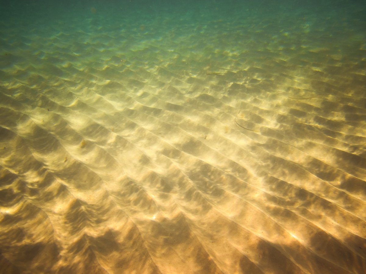 Песчаное дно моря