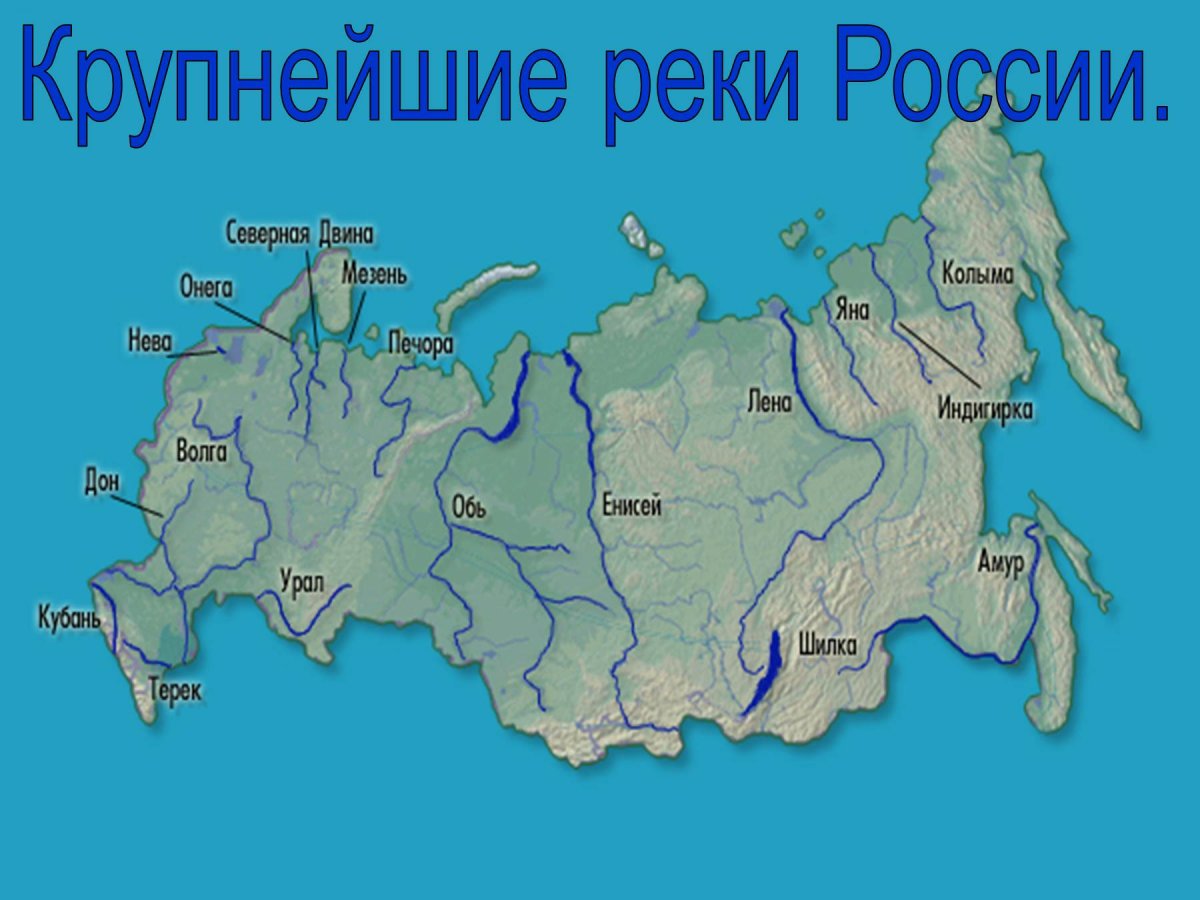 Самые рупные реи России на арте