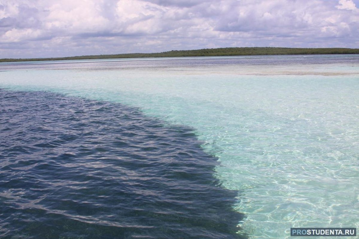 Галоклин Балтийское море