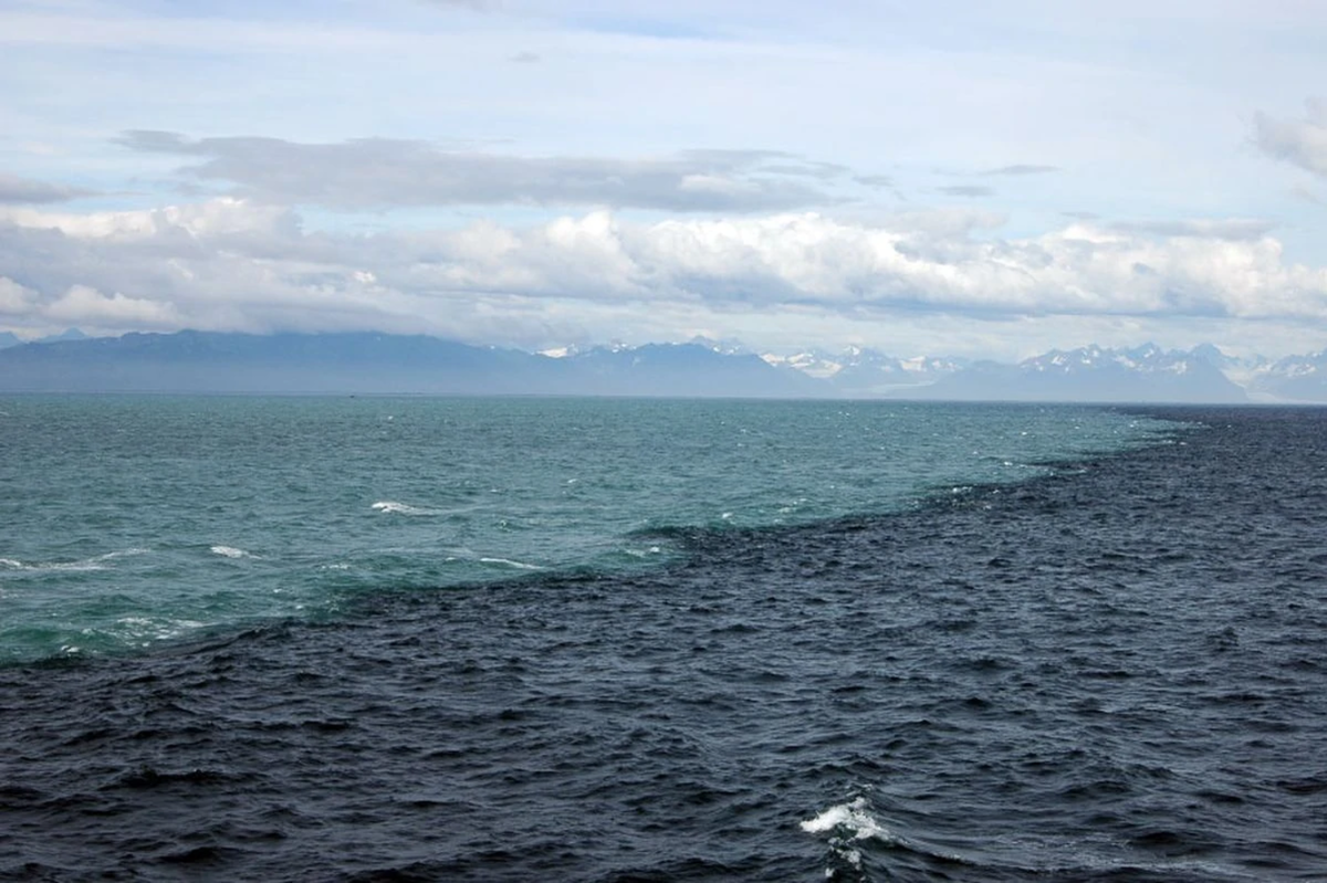 Скаген Дания два моря