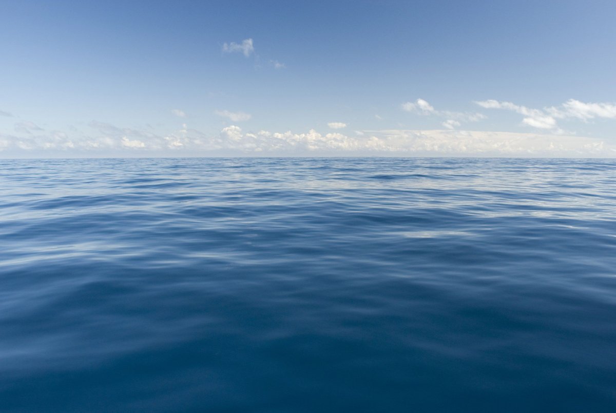 Тихое море