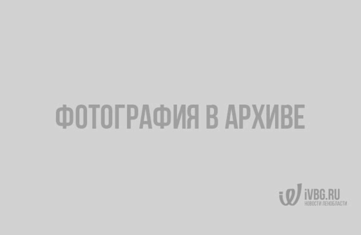 Население земли сейчас