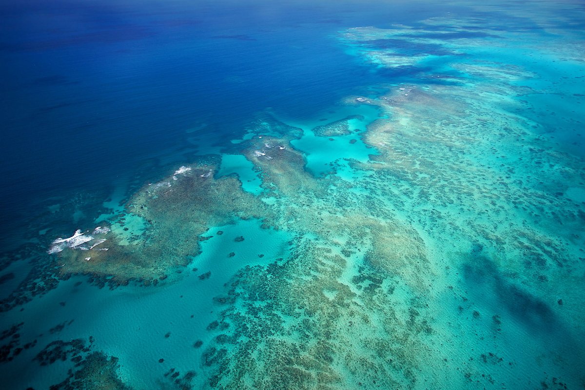 Большой Барьерный риф (the great Barrier Reef)