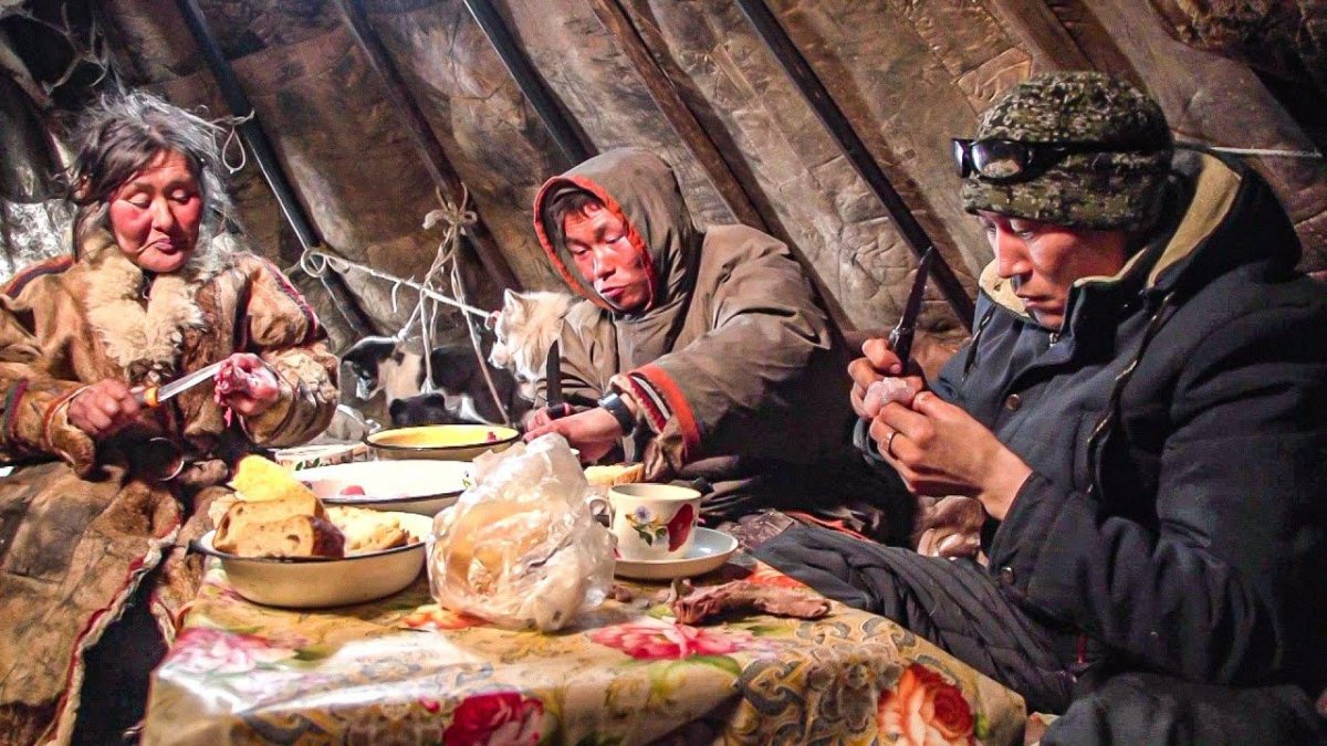 Строганина олень ненцы