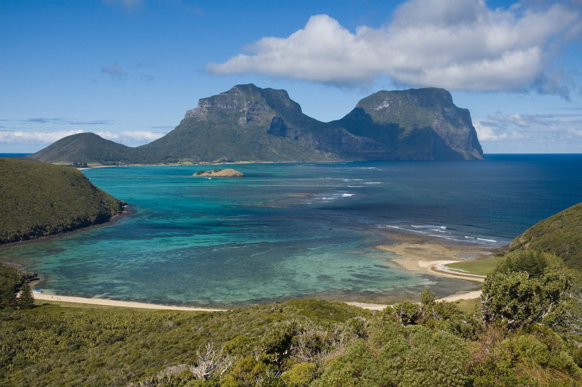 Лорд-хау (Lord Howe Island